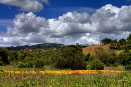 Santa Clara County, CA