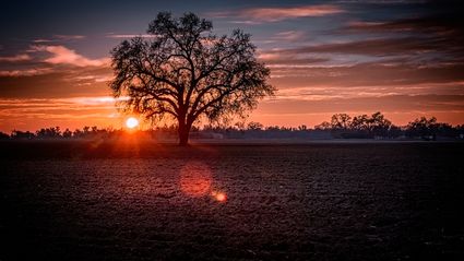 Tulare County, CA