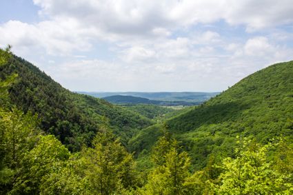 Berkshire County, MA