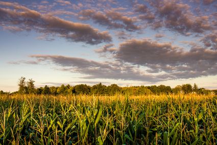 Alcona County, MI