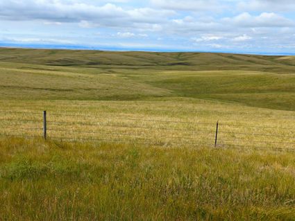 Dakota County, NE