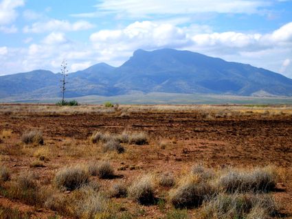 Hidalgo County, NM