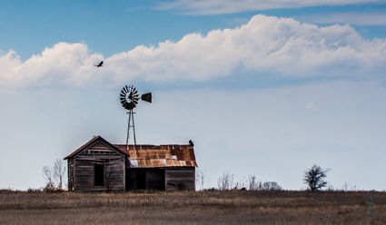 Cimarron County, OK