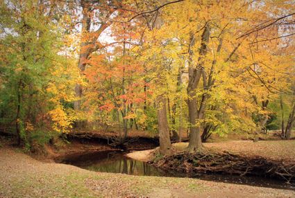 Fairfax County, VA