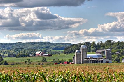 Buffalo County, WI