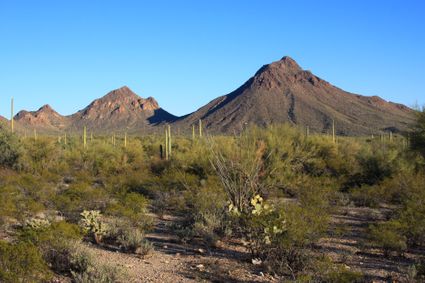 Tucson, AZ