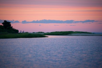 Vineyard Haven, MA