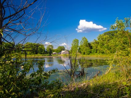 Cook County (Southeast)--Thornton Township PUMA, IL