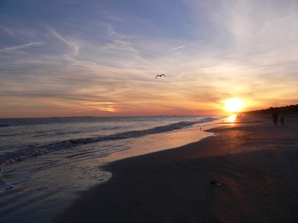 Clarendon, Georgetown & Williamsburg Counties PUMA, SC