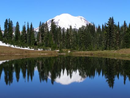 Lewis, Klickitat & Skamania Counties PUMA, WA